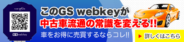 GS webkey